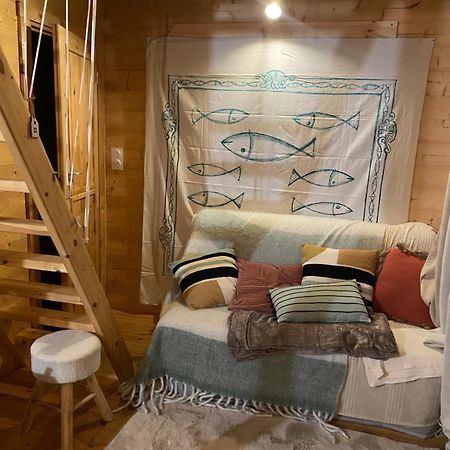 Maison En Bois 1 Chambre 4 Couchages Type Tiny House Granville Eksteriør billede
